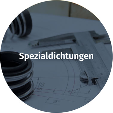 Spezialdichtungen
